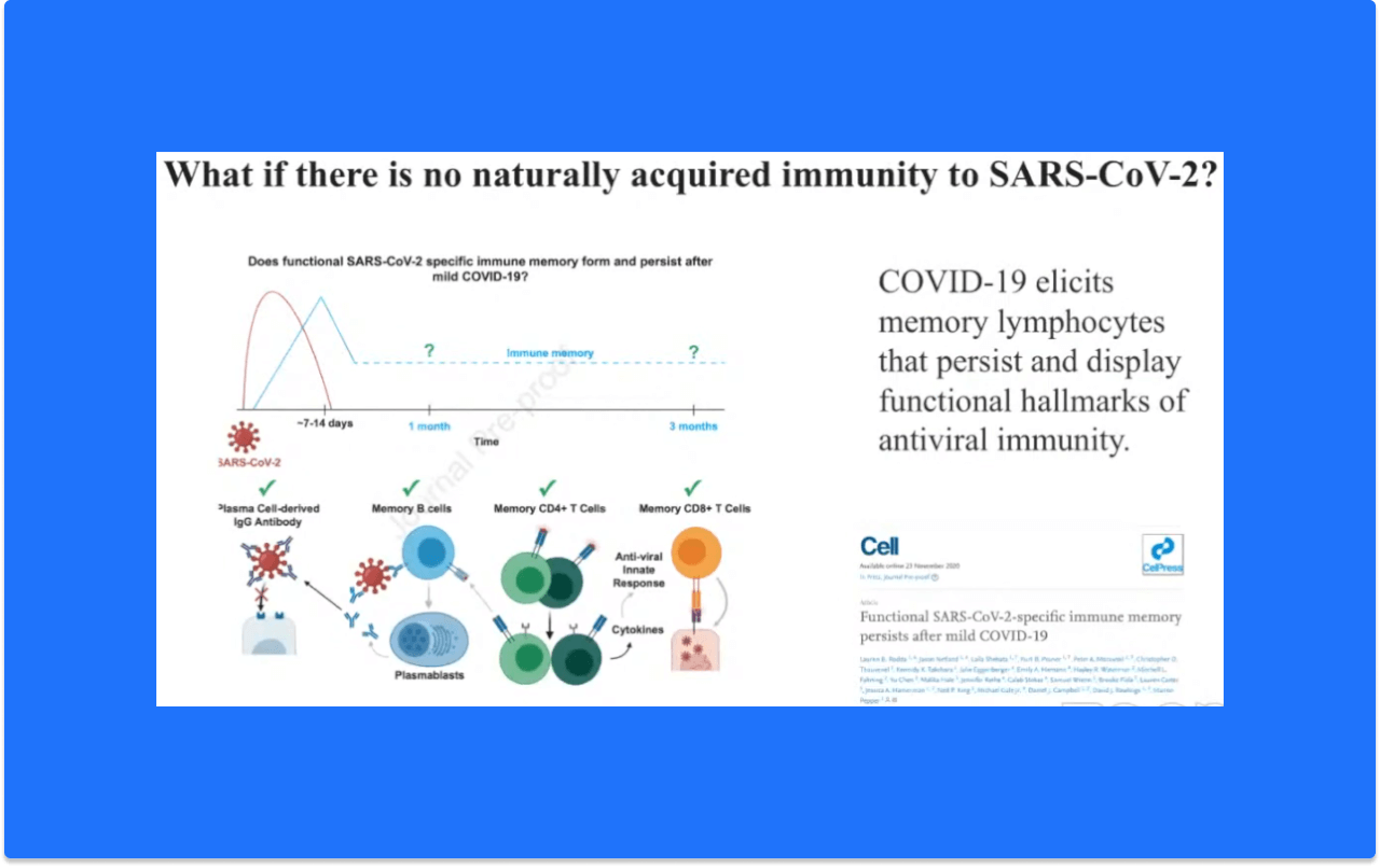 What if no immunity to SARS-CoV-2